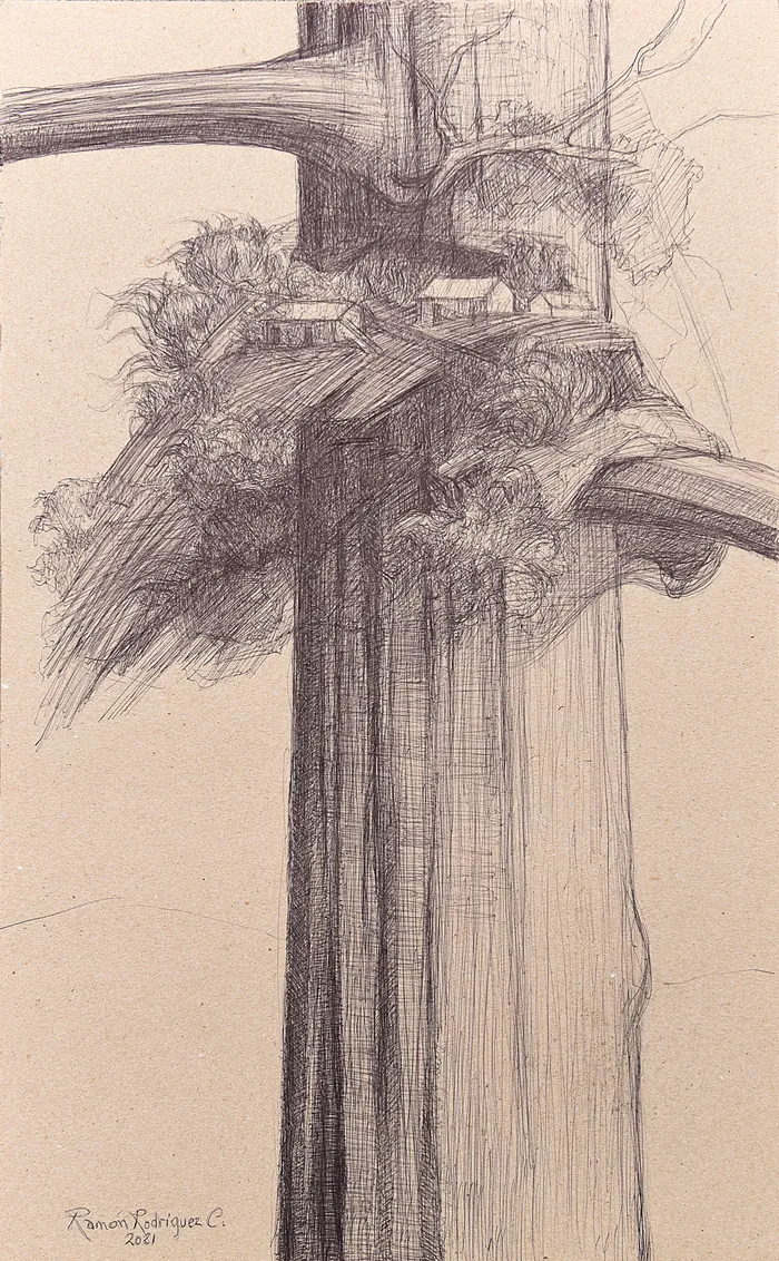 Dibujo.