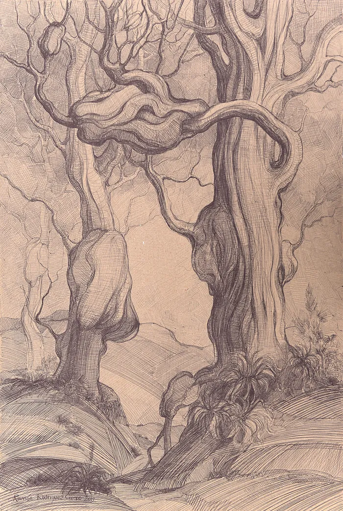 Dibujo.