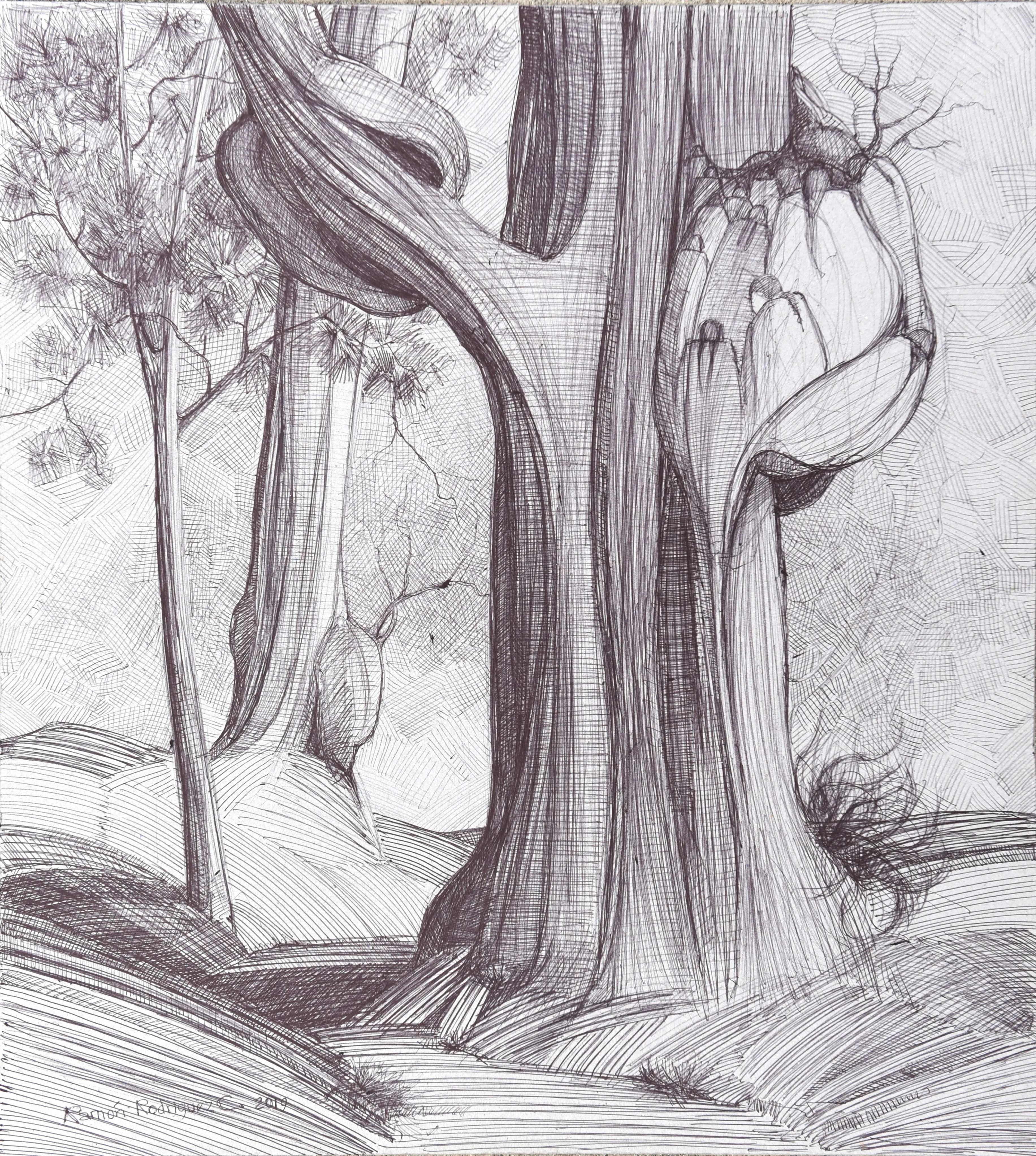 dibujo