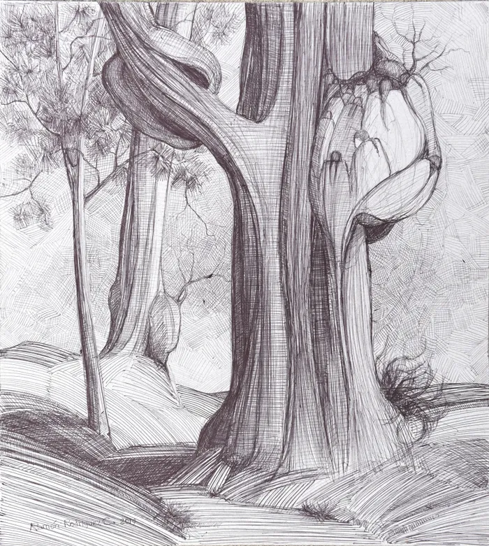 dibujo