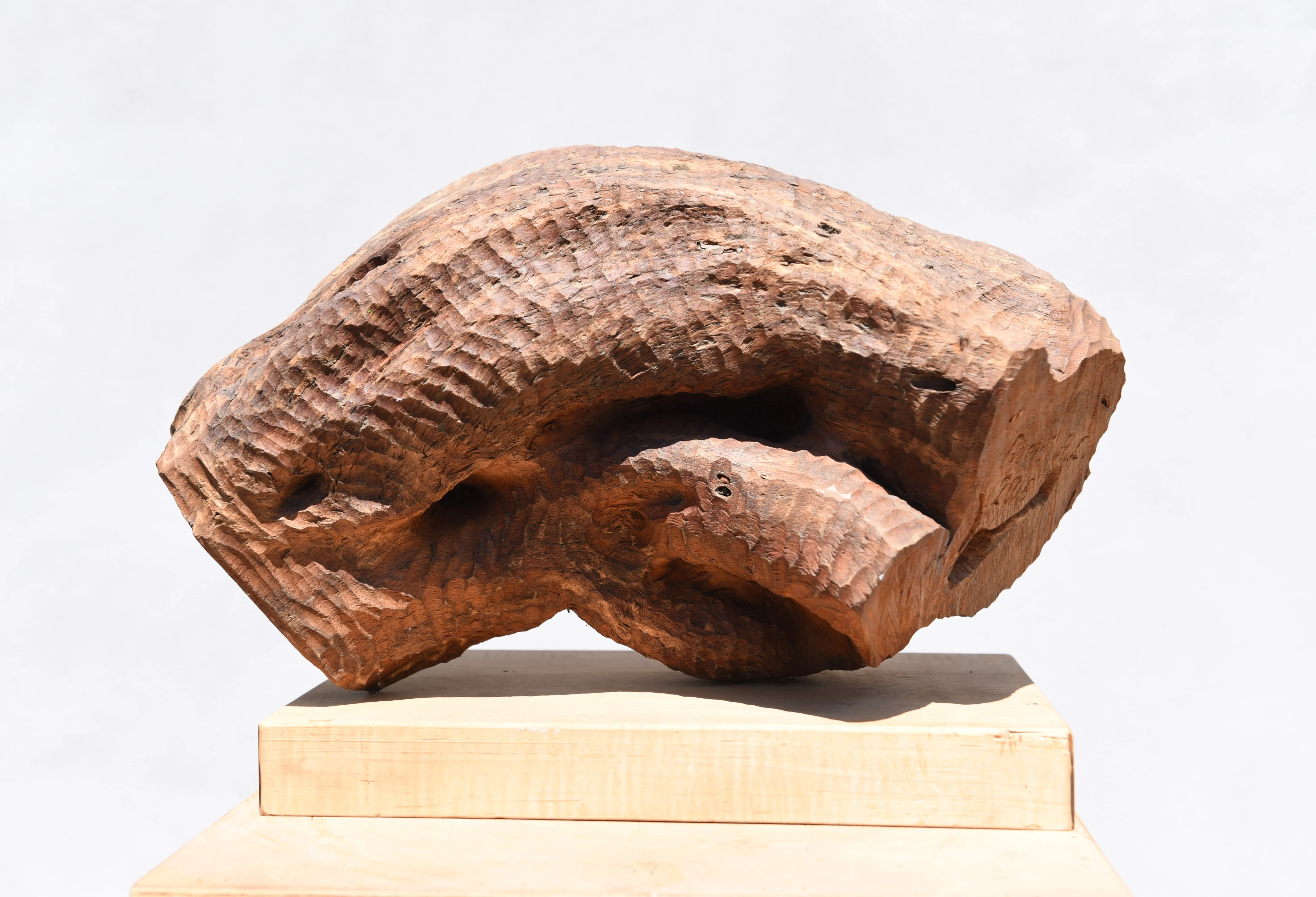 Escultura en madera