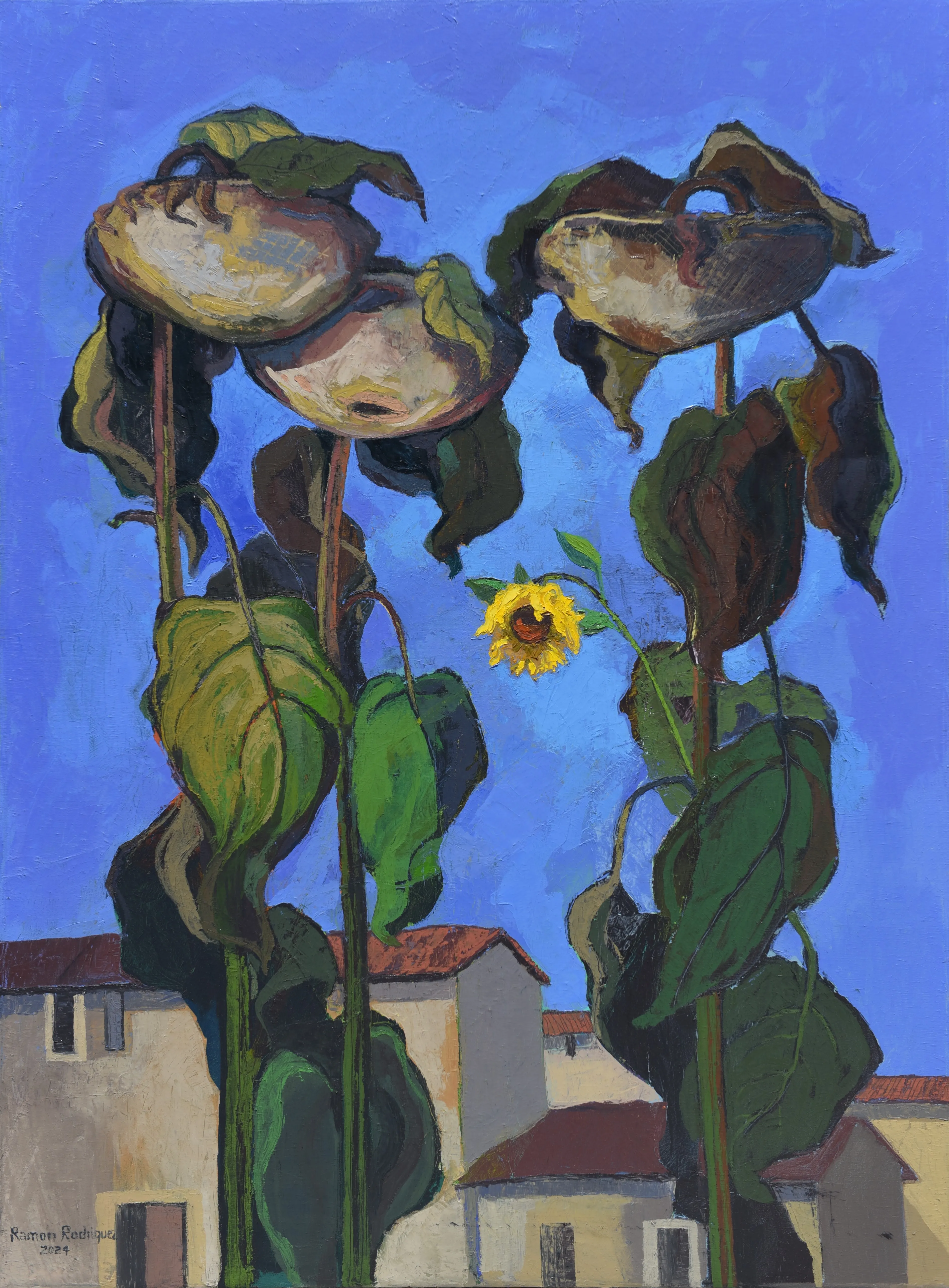 Girasoles.