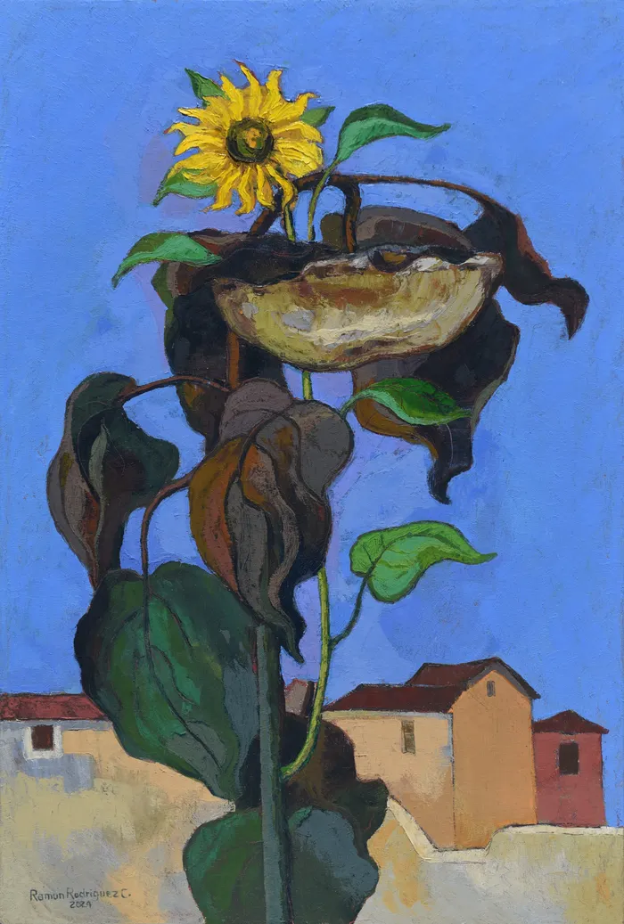 Girasoles.