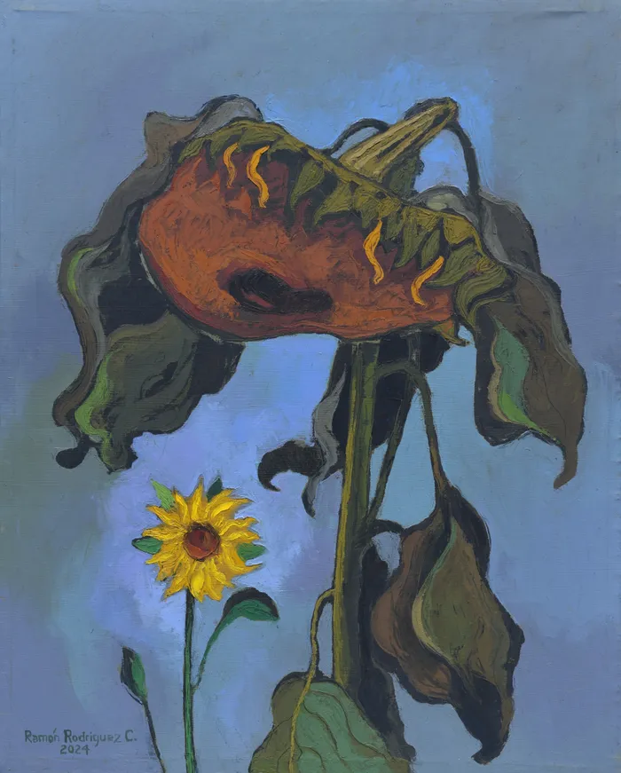 Girasoles.