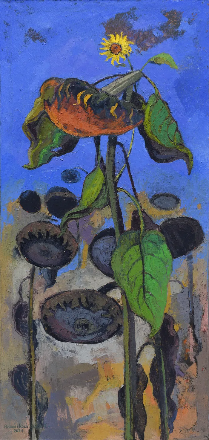 girasoles.