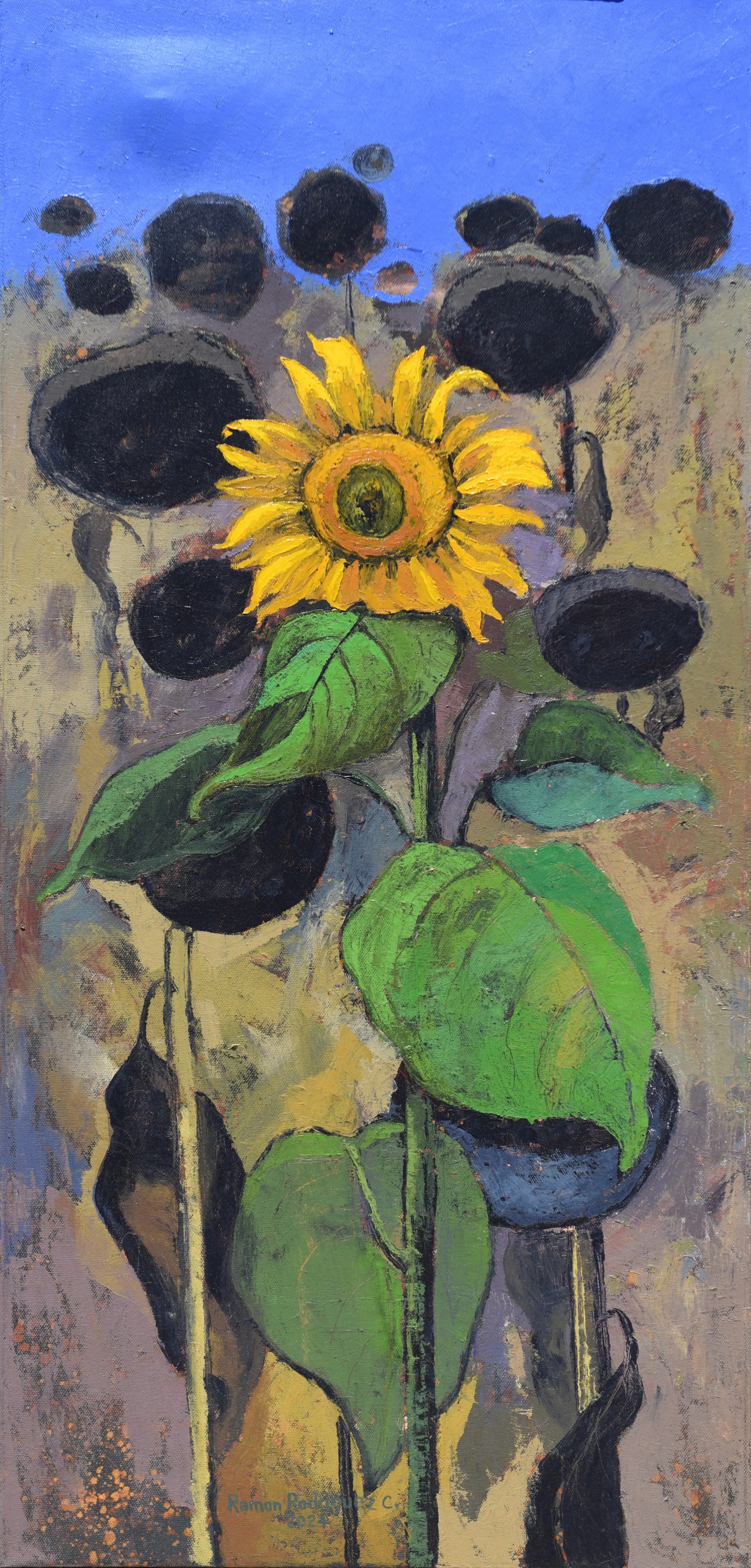 Girasoles.